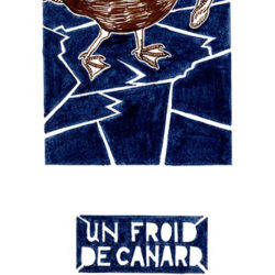 Collection Expressions : « Un froid de canard »