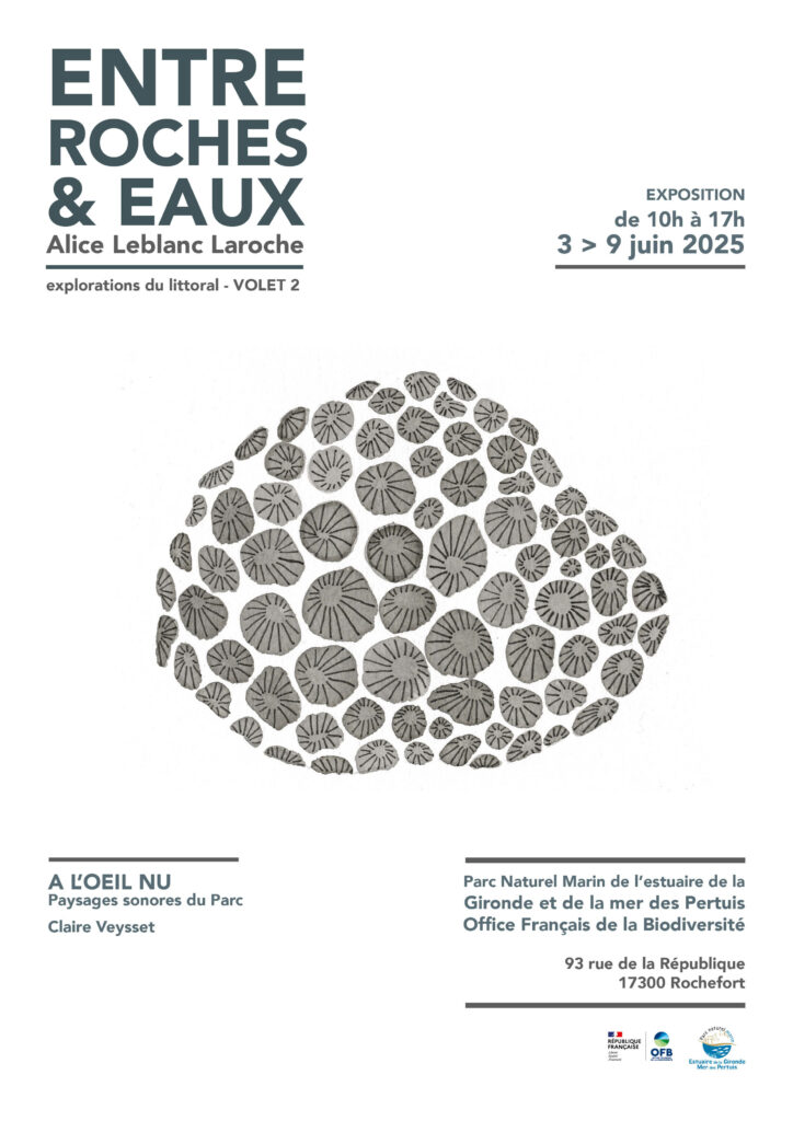 Flyer RECTO exposition Rochefort Alice Leblanc Laroche 2025