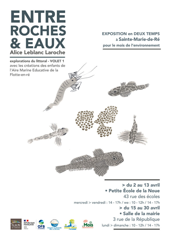 Projet Entre roches & eaux Alice Leblanc Laroche 2025