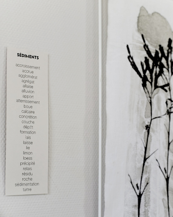 Créations Alice Leblanc Laroche Sérigraphe La Rochelle