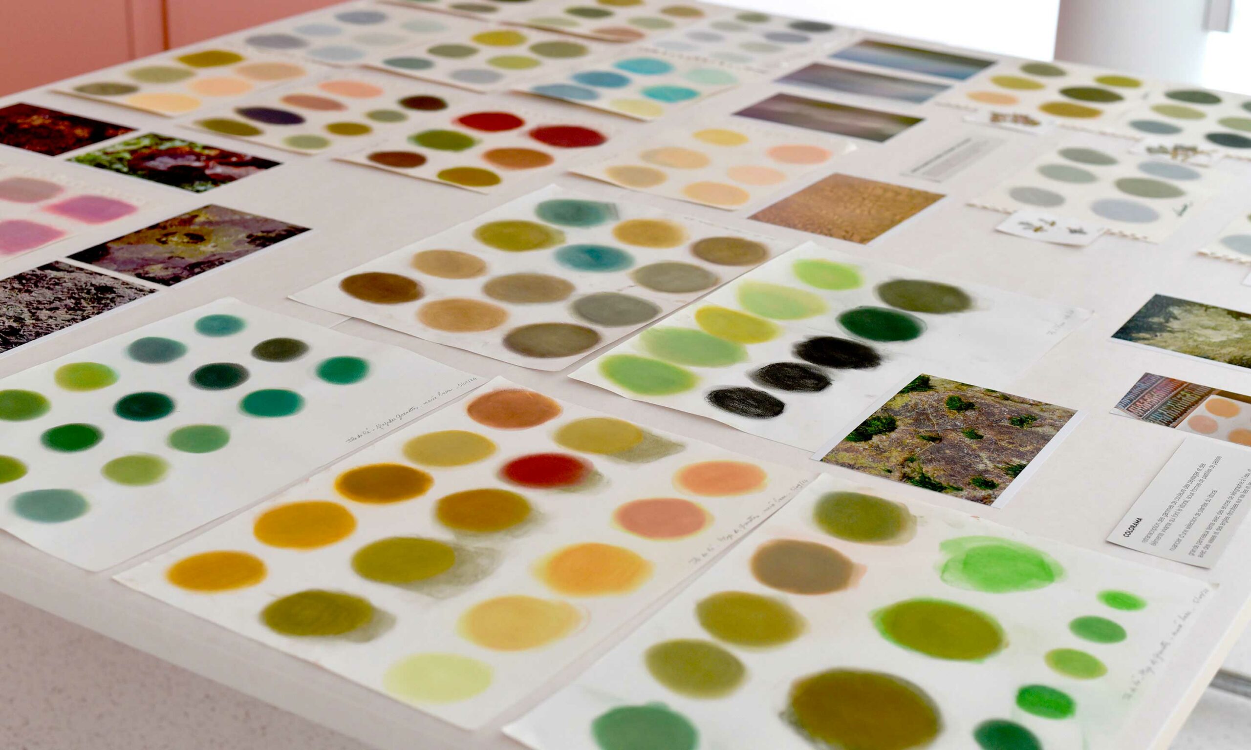 Créations Alice Leblanc Laroche Sérigraphe La Rochelle