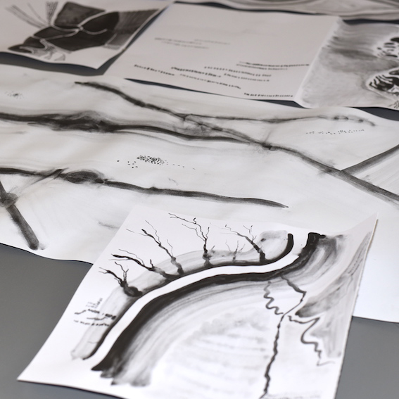 Alice Leblanc Laroche Projet Regarder, dessiner, imprimer PNMP